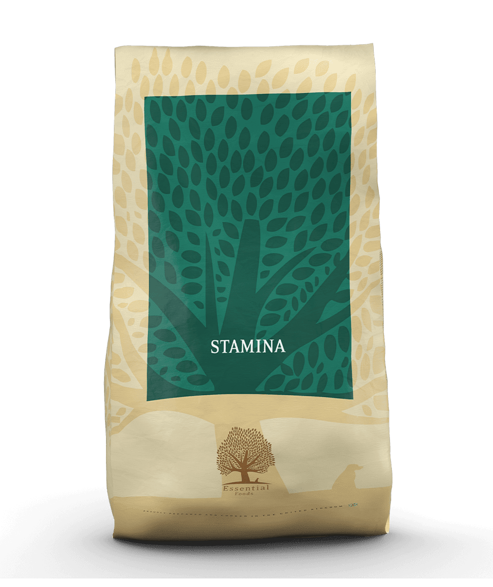 00-STAMINA_Packshot-Bag_12kg