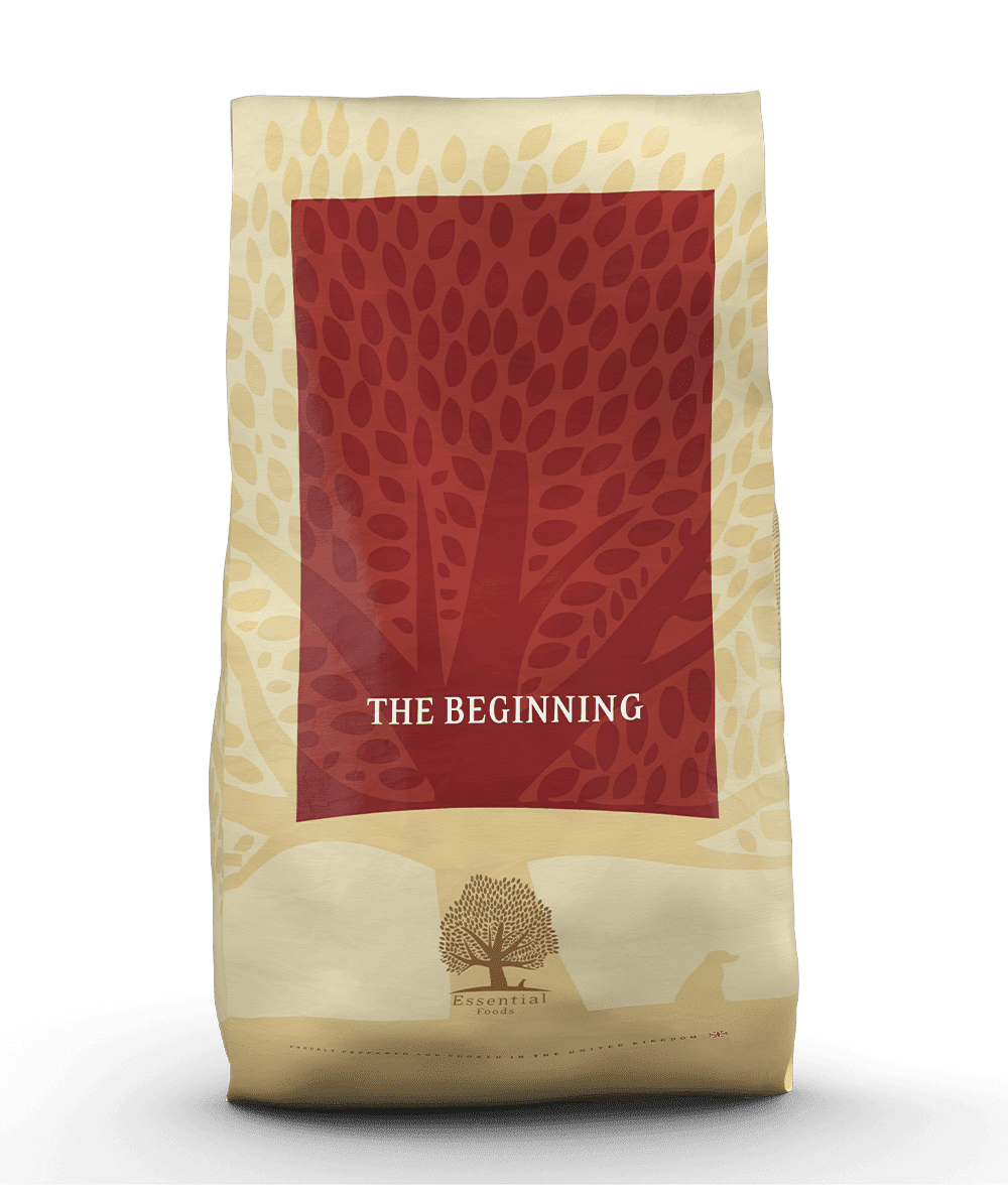 00-the-BEGINNING_Packshot-Bag_12kg