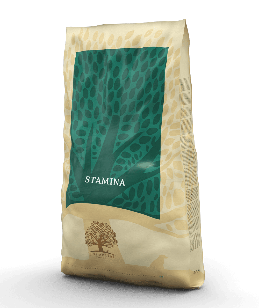 01-STAMINA_Packshot-Bag_12kg