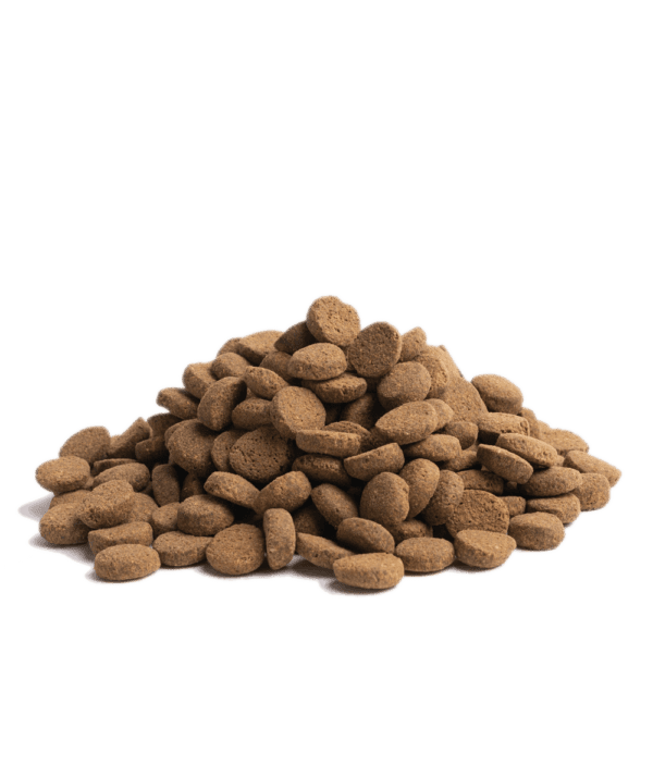 04-OLDER_Packshot-Bag_12kg