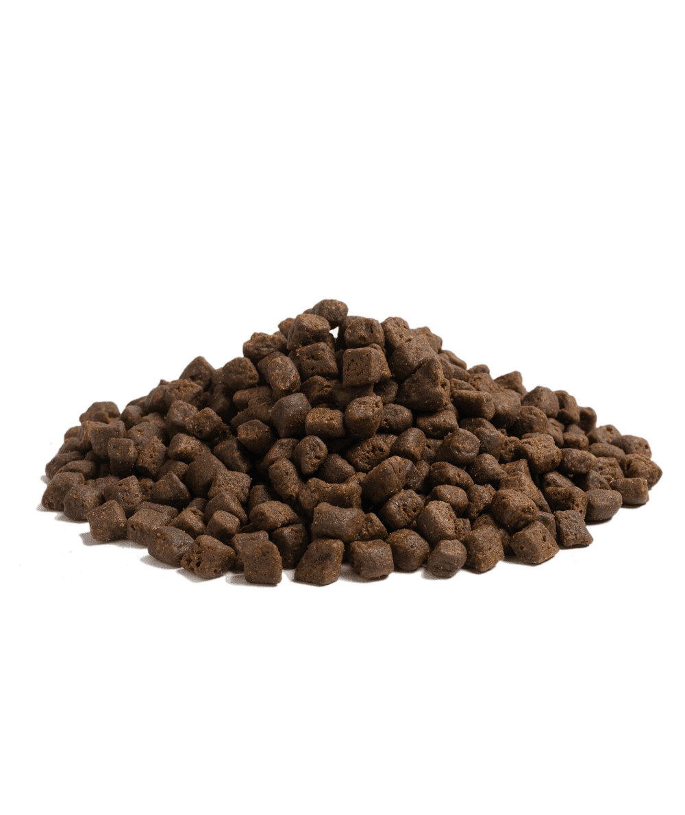 04-the-BEGINNING_Packshot-Bag_3kg