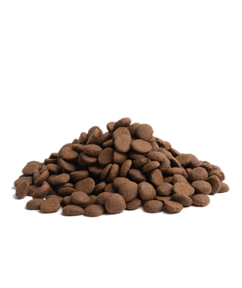 05-STAMINA_Packshot-Bag_12kg