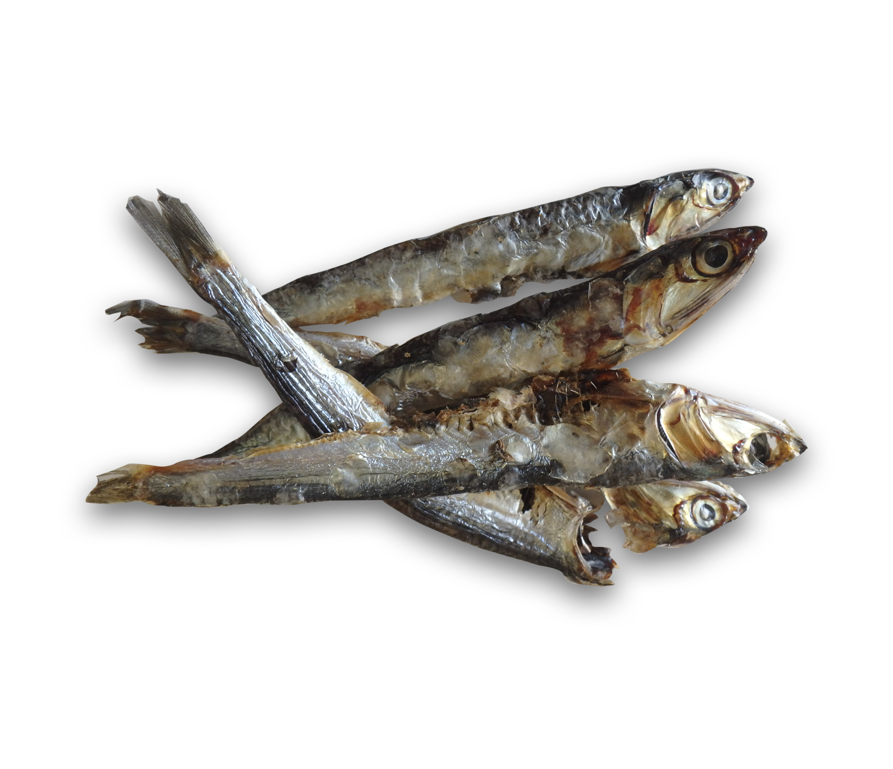 BOQUERONES DEL ATLANTICO
