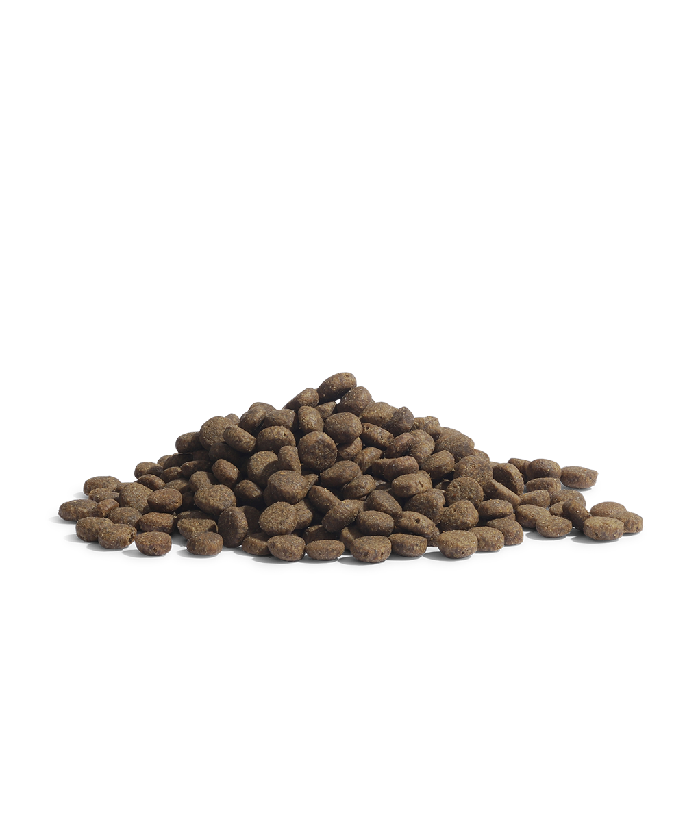 2032-2035-4_the-PANTHER_Packshot_Kibbles_No-background.png